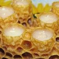 Маточное молочко — компания «МагазинВитамин» Маточное молочко — «МагазинВитамин»